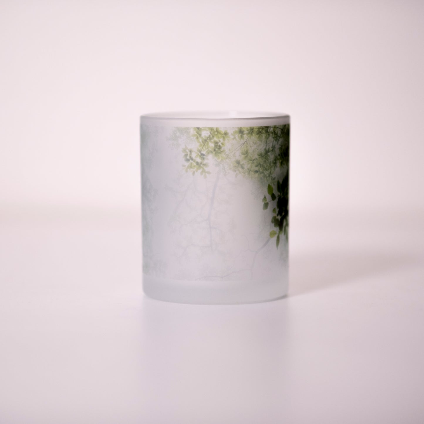 Photo Mug(frost4)