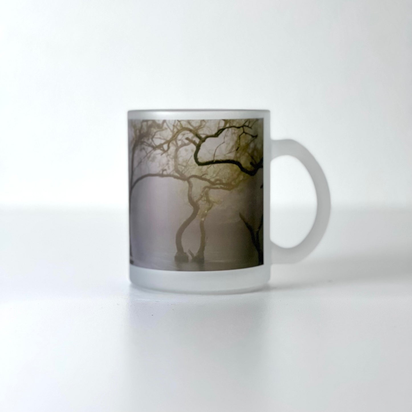 Photo Mug (frost3)