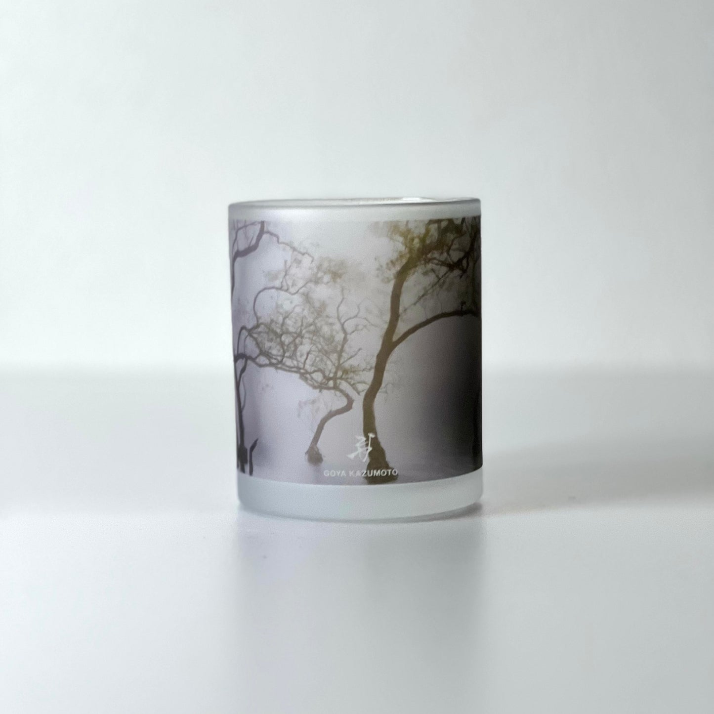 Photo Mug (frost3)