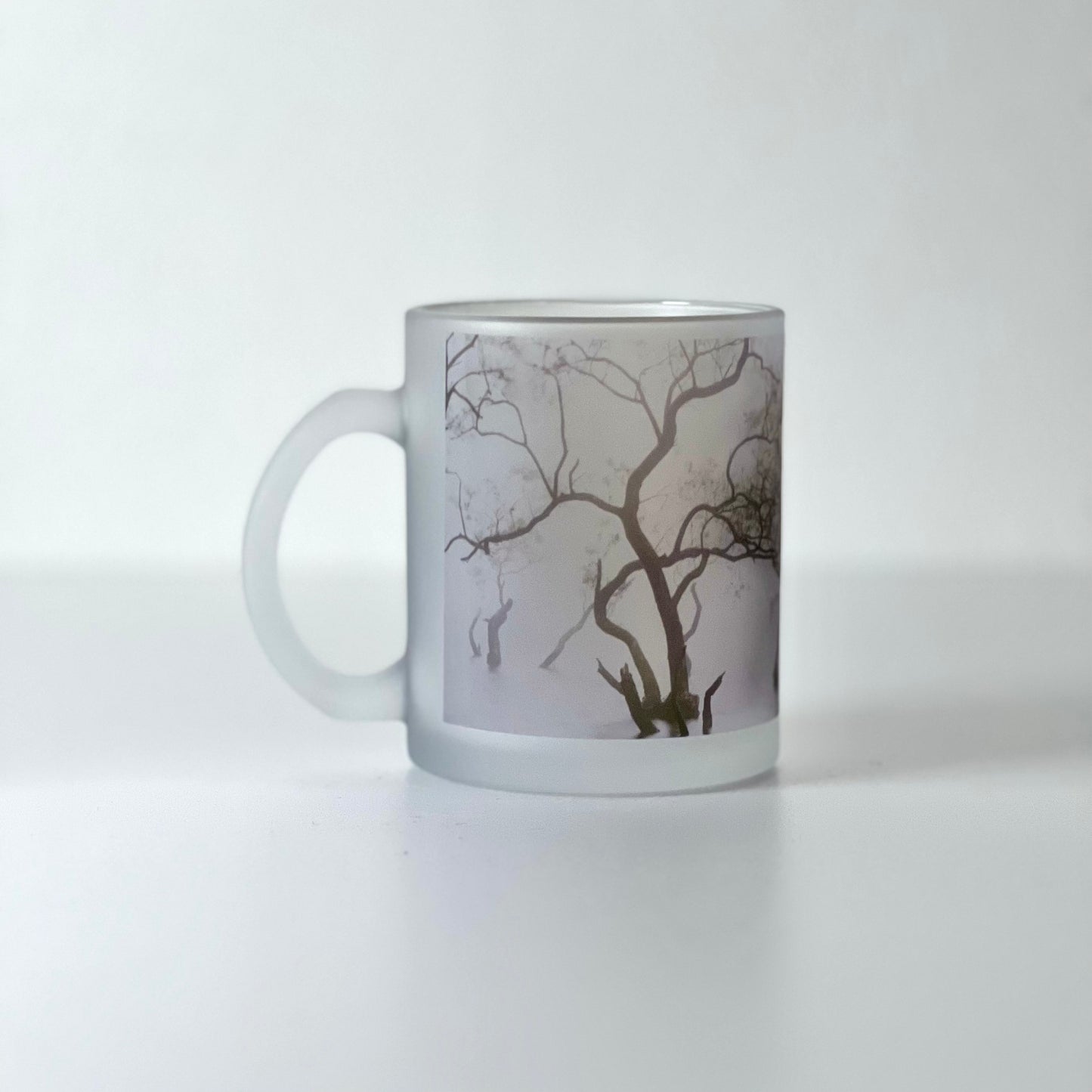 Photo Mug (frost3)